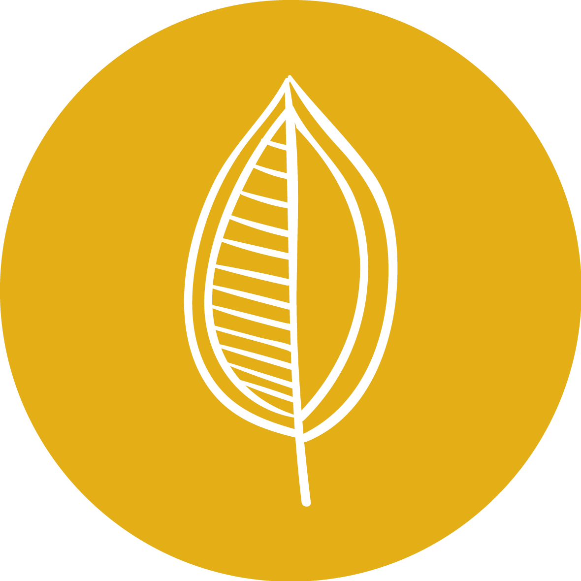 Ma Plateforme LesEdupreneurs
